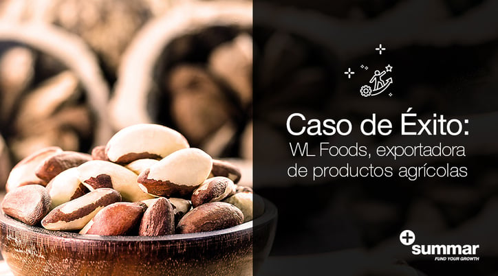 blog-Banner-Caso exito-WL foods2